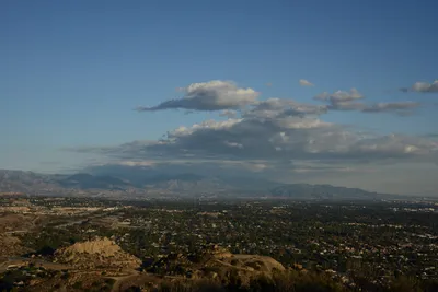 DSC_5557 (Large).JPG